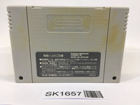 SK1657 Fatal Fury Special SNES Super Famicom Japan