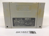 SK1657 Fatal Fury Special SNES Super Famicom Japan