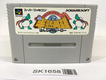 SK1658 Hanjuku Hero SNES Super Famicom Japan
