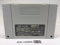 SK1695 Chrono Trigger SNES Super Famicom Japan