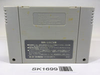 SK1699 Gdleen SNES Super Famicom Japan