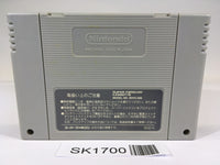 SK1700 Might and Magic Book 2 SNES Super Famicom Japan
