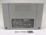 SK1700 Might and Magic Book 2 SNES Super Famicom Japan