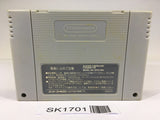 SK1701 Elfaria A Fantastic Theater SNES Super Famicom Japan