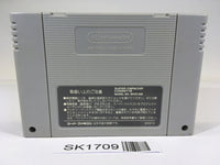 SK1709 Shin Megami Tensei 2 SNES Super Famicom Japan