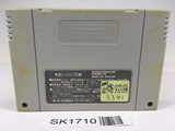 SK1710 Shin Megami Tensei 2 SNES Super Famicom Japan