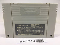 SK1714 Mystery Dungeon Fushigi no Dungeon 2 SNES Super Famicom Japan