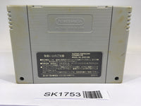 SK1753 Super Puyo Puyo SNES Super Famicom Japan