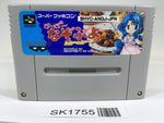 SK1755 Super Nazo Puyo Rulue no Roux Puyo Puyo SNES Super Famicom Japan