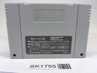 SK1755 Super Nazo Puyo Rulue no Roux Puyo Puyo SNES Super Famicom Japan