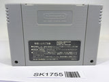 SK1755 Super Nazo Puyo Rulue no Roux Puyo Puyo SNES Super Famicom Japan