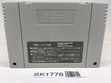SK1776 Honkaku Shogi Fuuunji Ryuuou SNES Super Famicom Japan