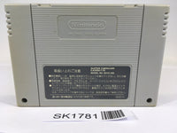 SK1781 F1 Grand Prix Racing SNES Super Famicom Japan