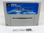 SK1782 Pilotwings SNES Super Famicom Japan