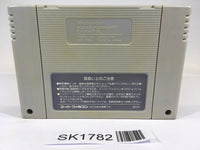 SK1782 Pilotwings SNES Super Famicom Japan