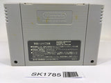 SK1785 Dolucky no Kusayakiu SNES Super Famicom Japan