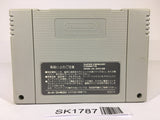 SK1787 Super Mario World SNES Super Famicom Japan