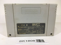 SK1808 Super Donkey Kong Country 3 SNES Super Famicom Japan