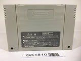 SK1810 Street Fighter Zero 2 Alpha SNES Super Famicom Japan