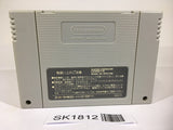 SK1812 Super Street Fighter II 2 SNES Super Famicom Japan