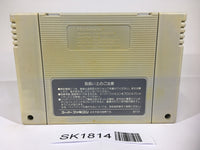 SK1814 Street Fighter II 2 SNES Super Famicom Japan