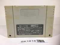 SK1818 Fatal Fury 2 SNES Super Famicom Japan