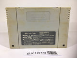 SK1818 Fatal Fury 2 SNES Super Famicom Japan