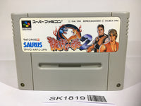 SK1819 Art Of Fighting 2 SNES Super Famicom Japan