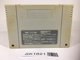 SK1821 Hanjuku Hero SNES Super Famicom Japan