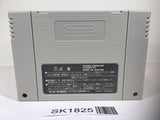 SK1825 Dragon Quest VI 6 SNES Super Famicom Japan