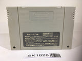 SK1828 Dragon Quest VI 6 SNES Super Famicom Japan