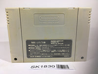 SK1830 Dragon Ball Z Super Saiya Densetsu SNES Super Famicom Japan