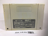 SK1830 Dragon Ball Z Super Saiya Densetsu SNES Super Famicom Japan
