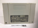SK1831 Dragon Ball Z Super Gokuu Den Kakusei Hen SNES Super Famicom Japan