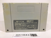 SK1843 The Legend Of Zelda A Link to the Past SNES Super Famicom Japan