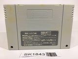 SK1843 The Legend Of Zelda A Link to the Past SNES Super Famicom Japan