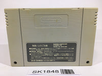 SK1848 Sansara Naga 2 SNES Super Famicom Japan