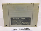 SK1848 Sansara Naga 2 SNES Super Famicom Japan