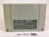 SK1857 Ys III 3 Wanderers from Ys SNES Super Famicom Japan