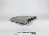 SK1859 Lady Stalker Kako kara no Chousen SNES Super Famicom Japan
