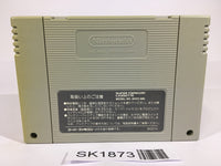 SK1873 Lagoon SNES Super Famicom Japan