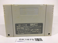 SK1875 Albert Odyssey SNES Super Famicom Japan