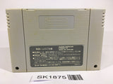 SK1875 Albert Odyssey SNES Super Famicom Japan