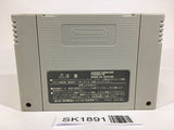 SK1891 Bahamut Lagoon SNES Super Famicom Japan