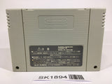 SK1894 Darius Twin SNES Super Famicom Japan