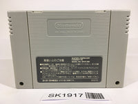 SK1917 Pop'n TwinBee SNES Super Famicom Japan