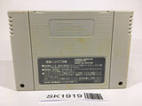 SK1919 Magical Taruruuto kun Magic Adventure SNES Super Famicom Japan