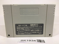 SK1934 Aguri Suzuki no F1 Super Driving Racing SNES Super Famicom Japan