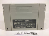 SK1934 Aguri Suzuki no F1 Super Driving Racing SNES Super Famicom Japan