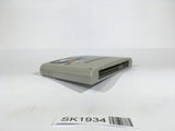 SK1934 Aguri Suzuki no F1 Super Driving Racing SNES Super Famicom Japan